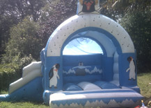 Penguin Bouncing castle and slide for Hire in Cork